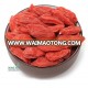 China dried goji berry supplier organic goji