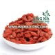 dried goji berry dried fruits supplier from China